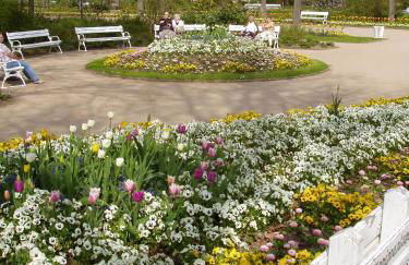 Haus Sonneneck - Foto 32