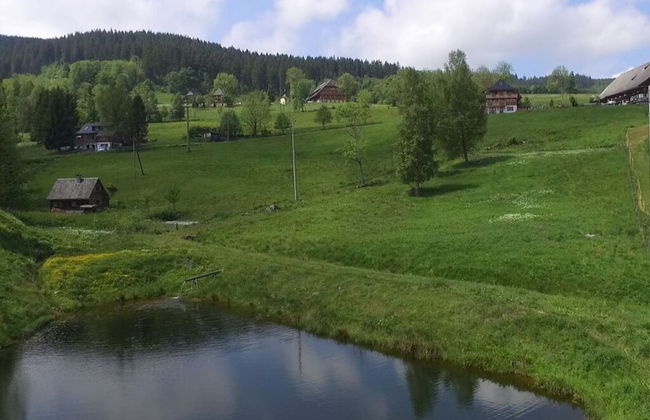 Holiday Apartment Tannenblick - Foto 9