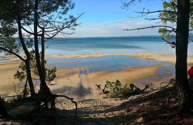 Les Calicots Sanguinet - Photo 65