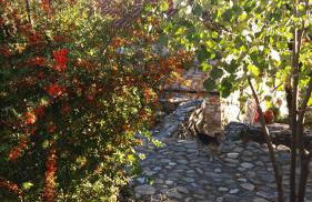 Stonehouse 2 Bedroom Chalet on Olympus Amazing View - Photo 75