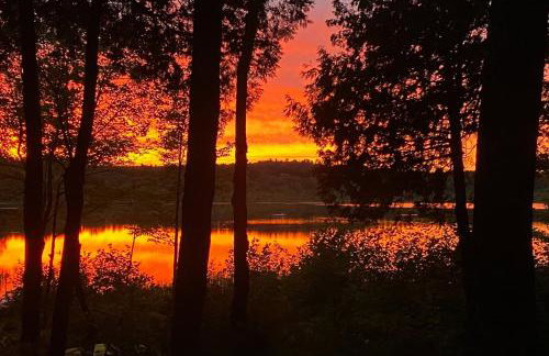 The Pinecone - Foto 23