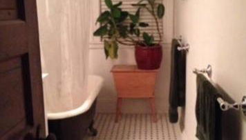 Private room MUST LOVE DOGS - Foto 2