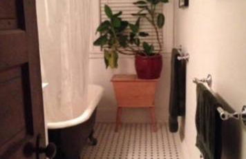 Private room MUST LOVE DOGS - Foto 2