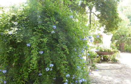 Il Trullo del Cadetto - Foto 29