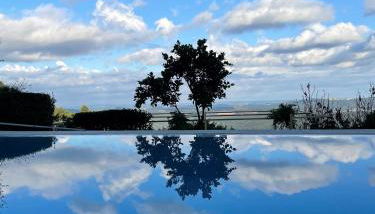 Pera da Serra - Turismo no Espaço Rural - Foto 3