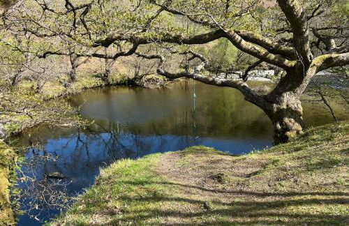 Ty Mawr, The Old School Holiday Homes - Pet Friendly - Foto 10
