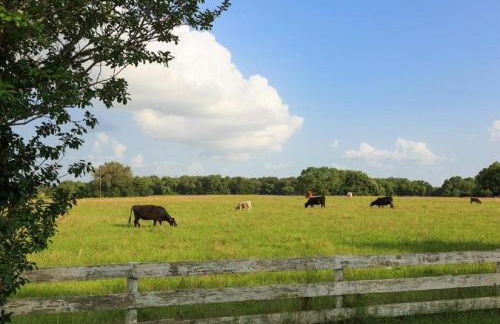 Secluded Cabin Perfect for a Romantic Getaway in Austin County, Texas - Foto 14