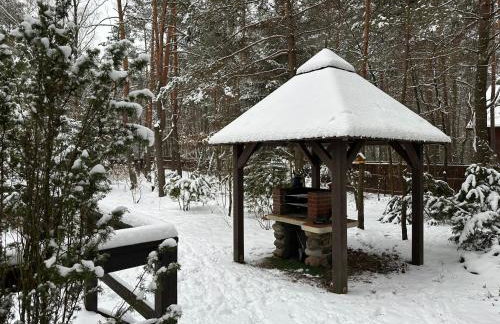 Leśna Chata Arciechów - Foto 29