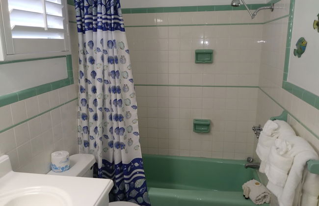 Turtle Crawl Inn - Foto 38