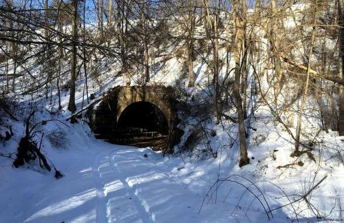 Secluded Cabin Close to the Shenandoah River in Shenandoah, Virginia - Photo 30
