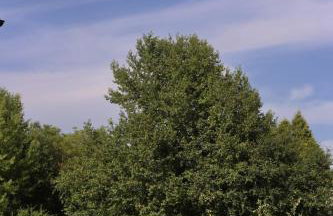 Harmonia Horyniec - Foto 42