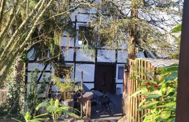 Kastanie im Neandertal - Foto 1