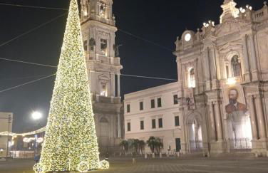 Spring House - Foto 23