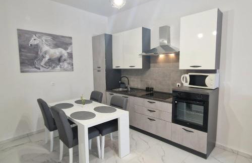 Apartman Ivan - Foto 28