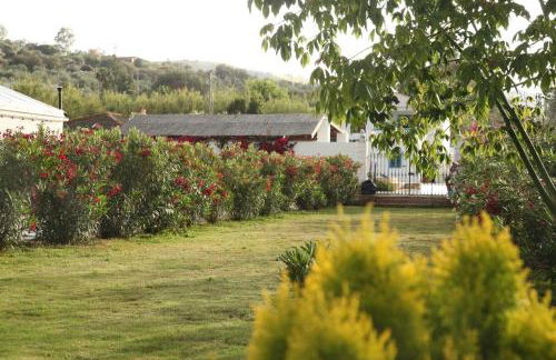 The Dragonfly Retreat - Photo 71