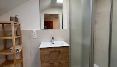 Ferienweingut Wissing Wohnung Frieda - Foto 3, Shower