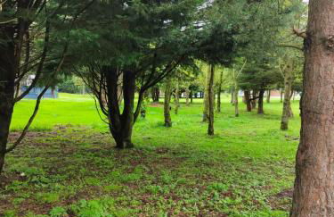 JJs Lodge Oaktree - Foto 17