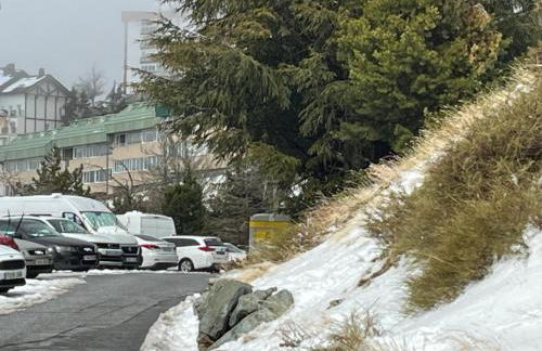 Biznaga Nevada - Foto 48