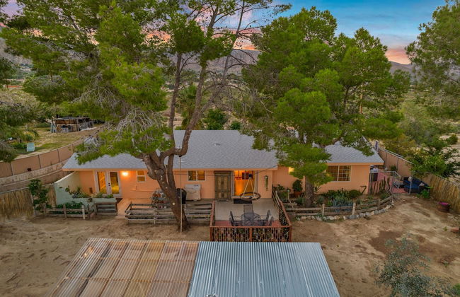 The Juniper - Foto 58