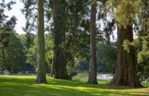 Lakes and woodlands hiking Overstone Holiday Park - Foto 101