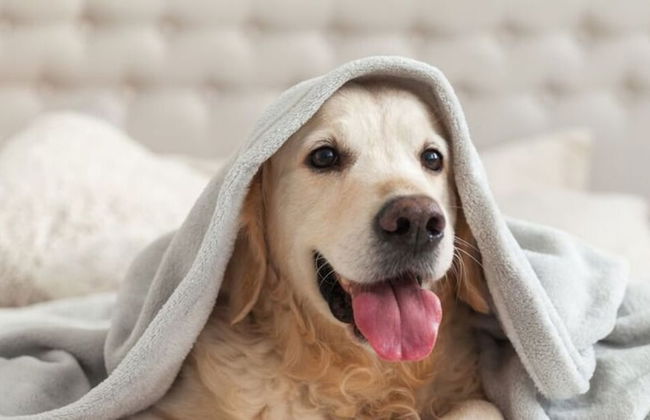 Northern Lights Modern Retreat - Photo 18