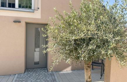 Kaisers Nescht - Foto 17