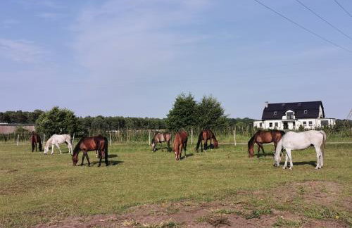 Domek Łeba Nowęcin - Foto 25