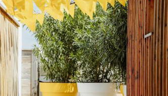 La Cabane du Naissain 5 stars - Foto 3, Garden, Garden view