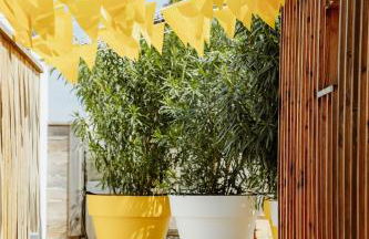 La Cabane du Naissain 5 stars - Foto 3