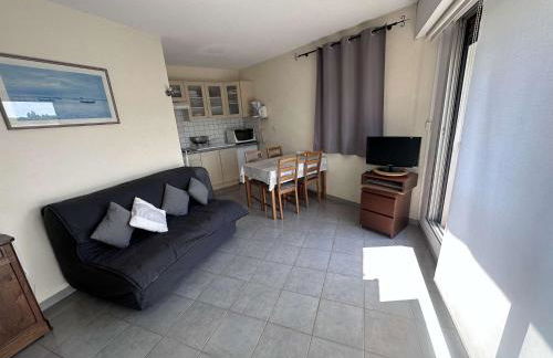 Studio climatisé près de la plage avec piscine et parking, Port Camargue - FR-1-731-101 - Foto 6