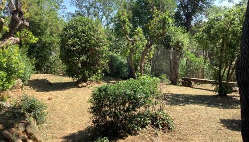 La Sokina - Foto 5, Garden view