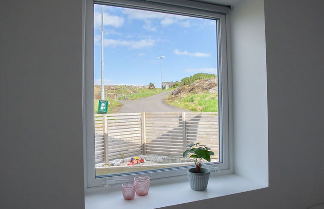 Stadium - Central - Park - Art Gallery - Foto 3