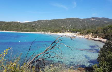 Piccula Casa - Foto 33