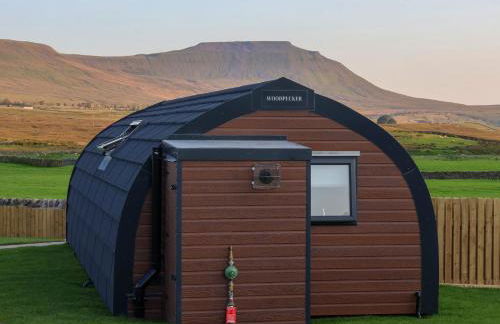 Woodpecker - Foto 16