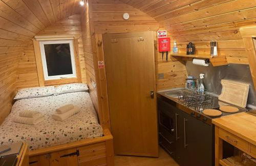 Conifer Cabins - Photo 40