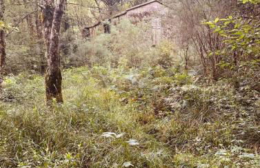 Casa da Rapadoira - Foto 47