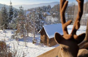 Garden Apartament Kurnik - Foto 37