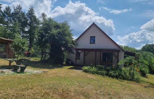 Dom wakacyjny nad jeziorem Jodłów - Foto 7