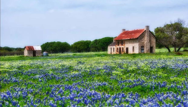 Texas Hill Country Tour - Foto 3