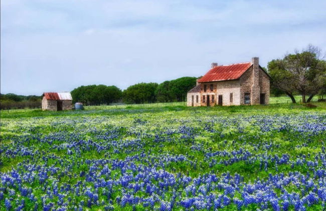 Texas Hill Country Tour - Foto 3