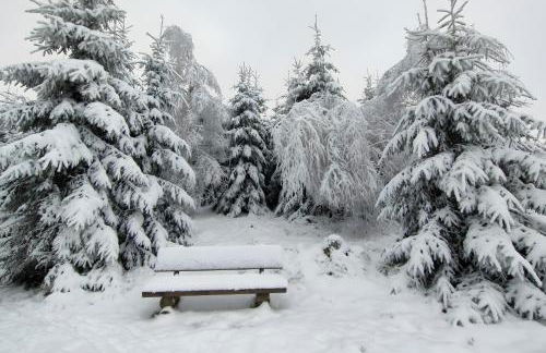 Ferienwohnung Wahl - Photo 16