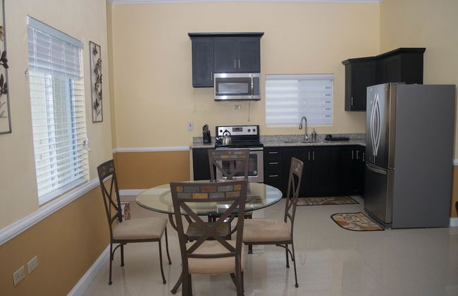 Rochester Modern Chic Apartment - Photo 31