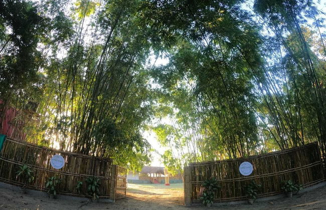 Pobitora Village Eco Camp - Foto 21