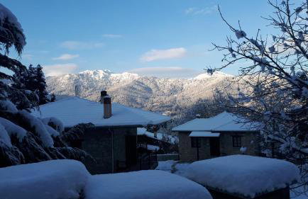 Τα Πέτρινα της Ελάτης - Petrina Elatis - Foto 56