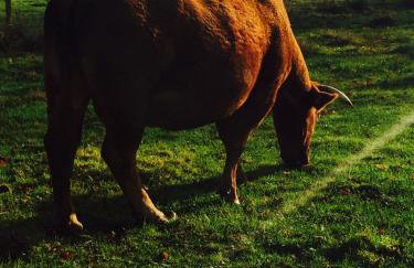 No.10 Broadway - Foto 44