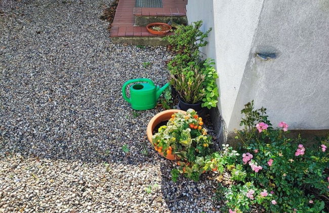 in the Countryside Modern Retreat - Foto 36