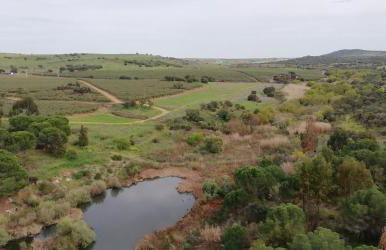 Arronches Villa - Foto 50