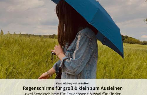 Ferienwohnungen Sauerland und Olsberg - Foto 8