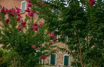 Agriturismo Il Brugnolo - Photo 67