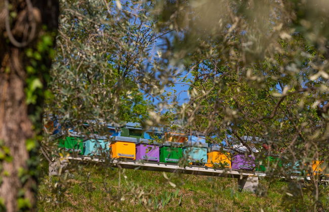 Agriturismo Borgo il Mezzanino - Foto 43